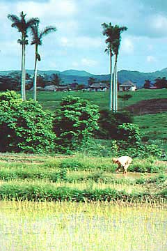 kuba-cuba-reis