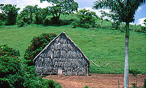 kuba-cuba-vinales-tabakschuppen