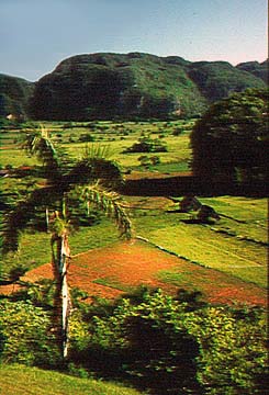 kuba-cuba-valle_vinales