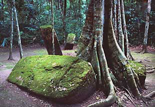 guatemala-tikal