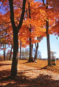 canada-indian-summer