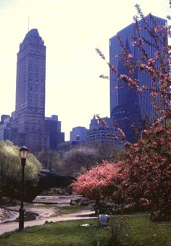 new_york_central_park