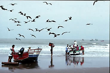 ecuador-playas