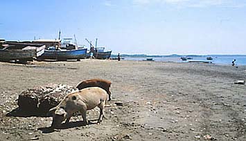 peru-tumbes-puertopizarro